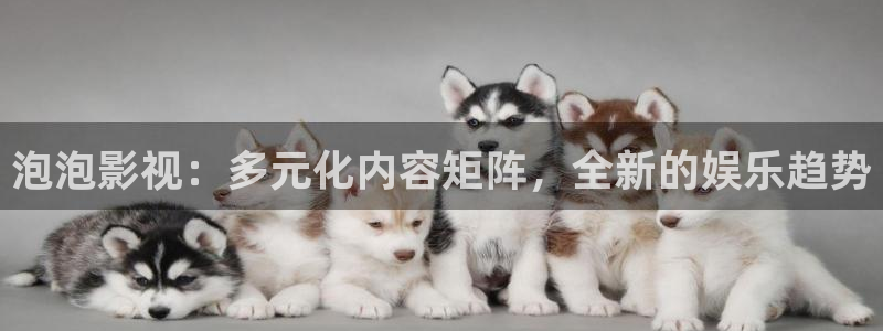 窝窝影视国产在线观看
