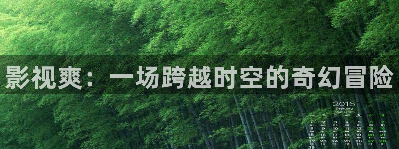 窝窝影院在线播放免费观