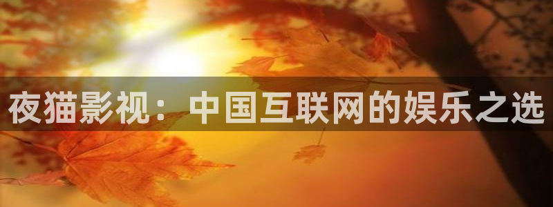 窝窝影视在线播放免费观看电视剧