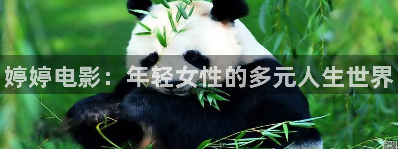 窝窝影视网2021年最新电视剧免费观看