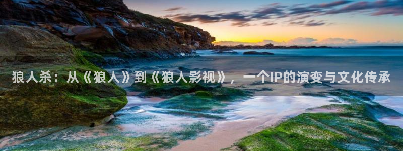 窝窝电视剧电影