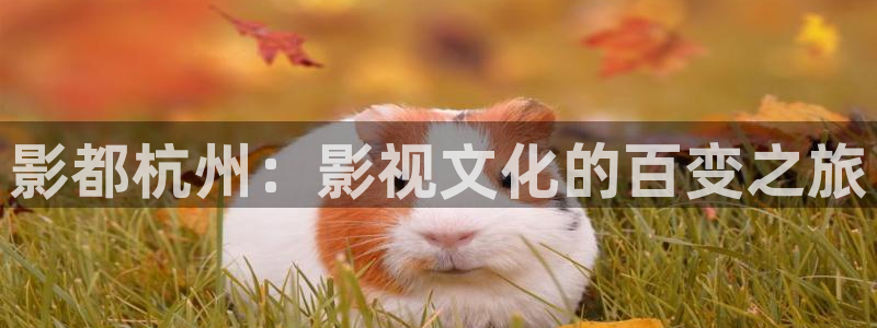 窝窝网电影电视剧我的十八岁