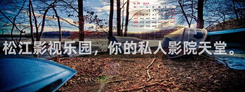 窝窝爱在线观看免费高清电视剧大全