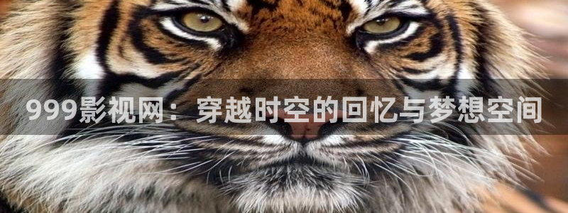 窝窝电视剧大全免费