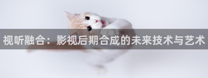 窝窝电视剧大全免费