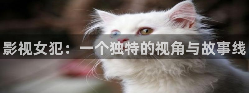 窝窝晚上看视频