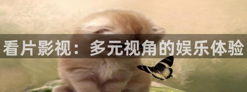 窝窝影院在线观看电视剧的注意事项
