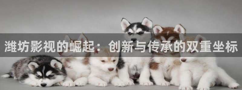 窝窝网电视剧资源大全