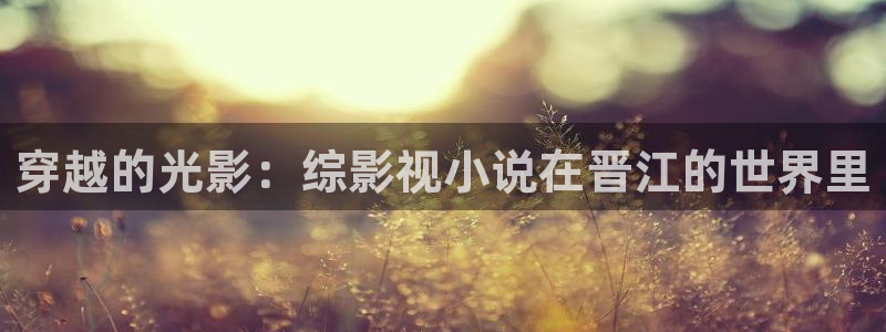 窝窝在线影院电视剧免费